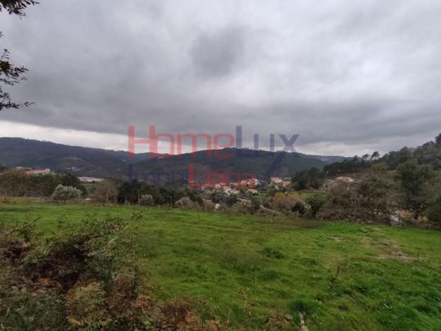 Castro Daire Castro Daire LS97118690