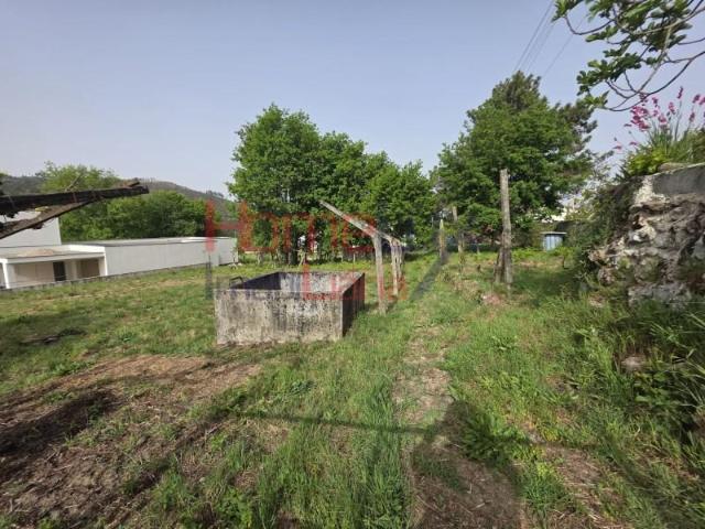 Castro Daire Castro Daire 101064636