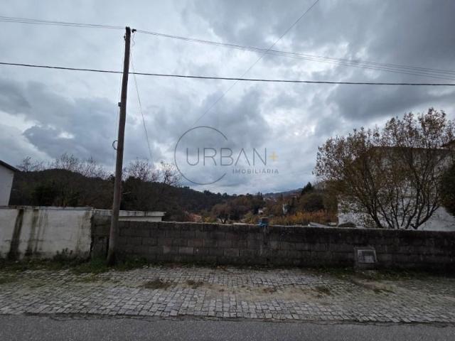 Castro Daire Castro Daire 97267158
