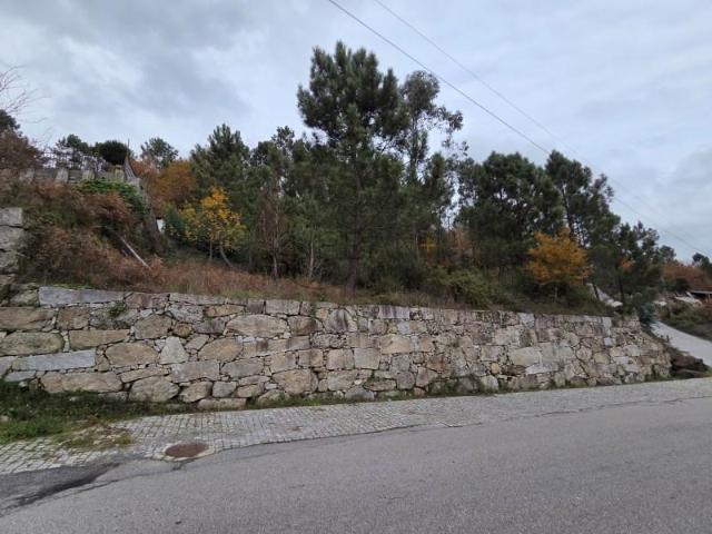 Castro Daire Castro Daire 97267159