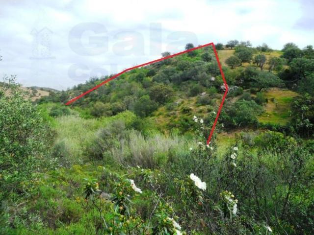 Castro Marim Castro Marim LS89912455