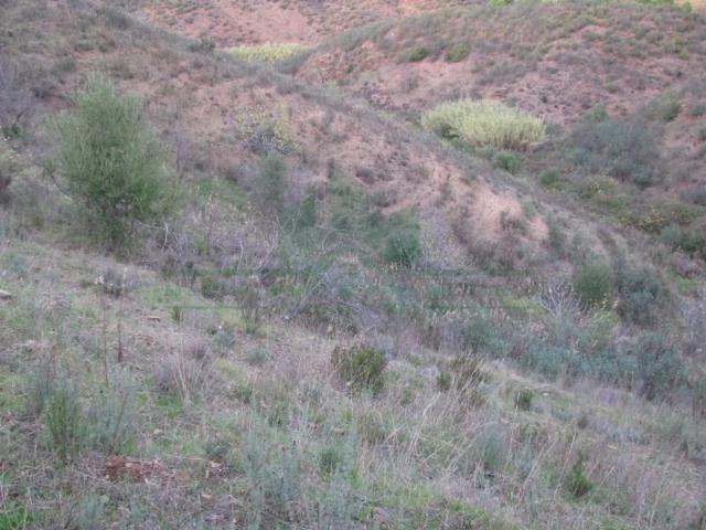 Castro Marim Castro Marim LS93725488