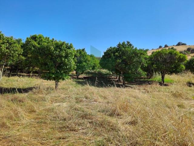 Castro Marim Castro Marim LS97120507