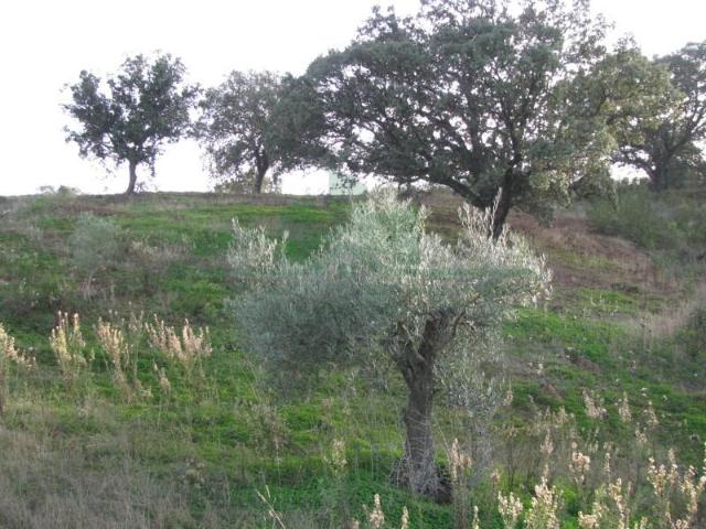 Castro Marim Castro Marim LS97124442