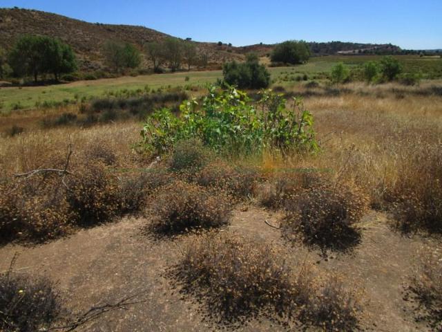 Castro Marim Castro Marim LS97124444