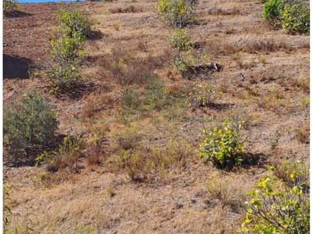 Castro Marim Castro Marim LS98024620