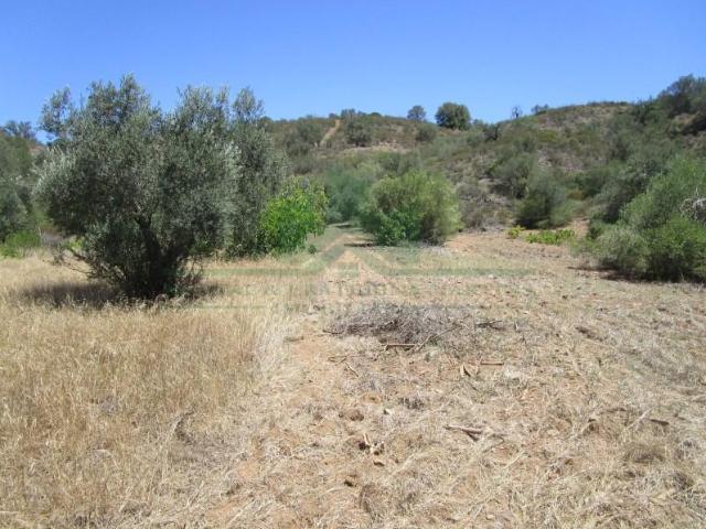 Castro Marim Castro Marim LS99110591