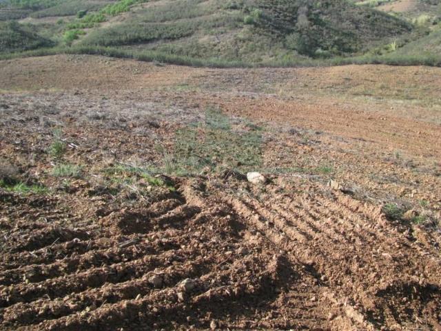 Castro Marim Castro Marim LS99178679