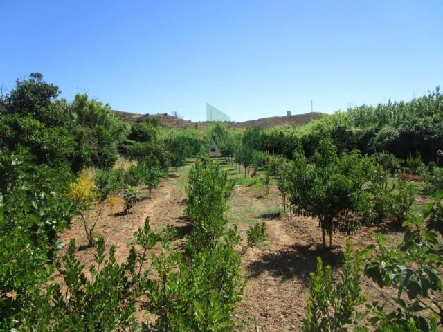 Castro Marim Castro Marim 102927973
