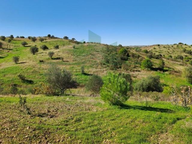 Castro Marim Castro Marim 96688007