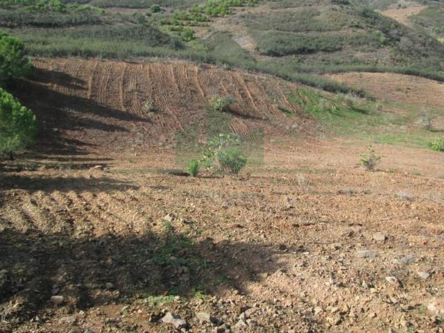 Castro Marim Castro Marim 97124445
