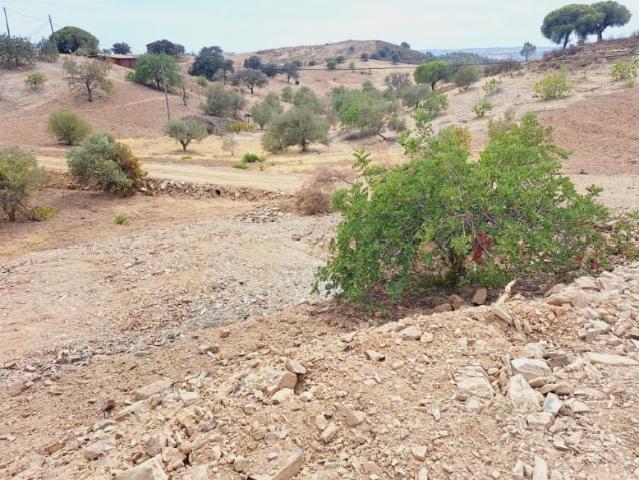 Castro Marim Castro Marim 98386028