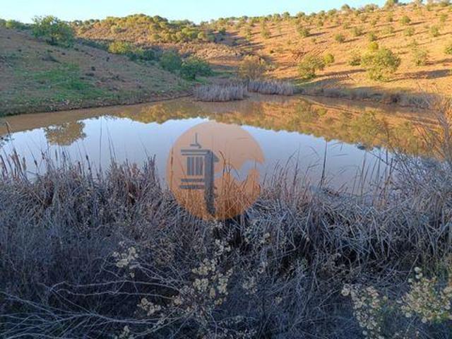 Castro Marim Faro 8950 LS96329524