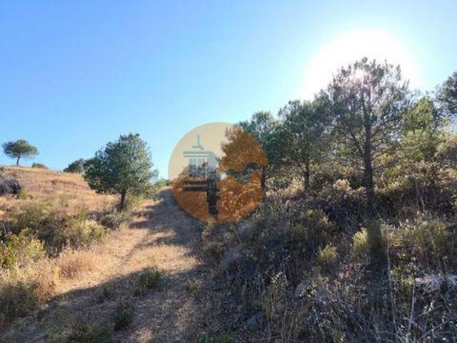 Castro Marim Faro 8950 000 104146286