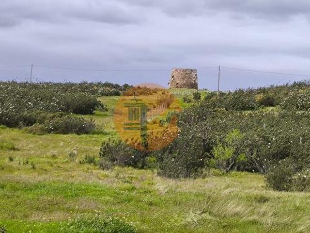 Castro Marim Faro 8950 000 LS100578616