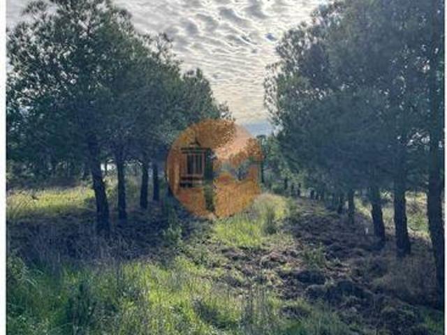 Castro Marim Faro 8950 100365986