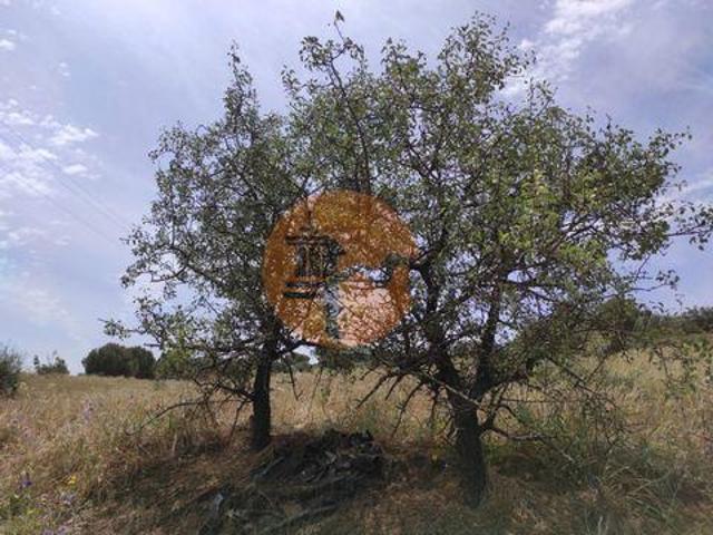 Castro Marim Faro 8950 258 96323277