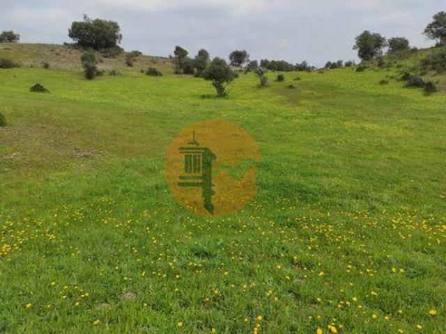 Castro Marim Faro 8950 213 96323545