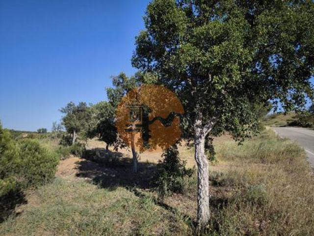Castro Marim Faro 92435391