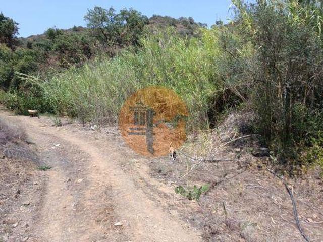 Castro Marim Faro 96316242