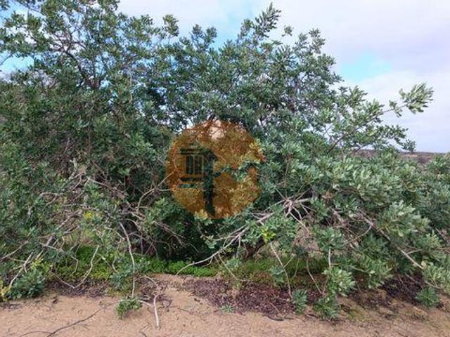 Castro Marim Faro 96316280