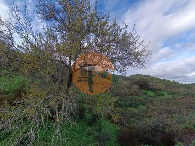 Castro Marim Faro 96316292