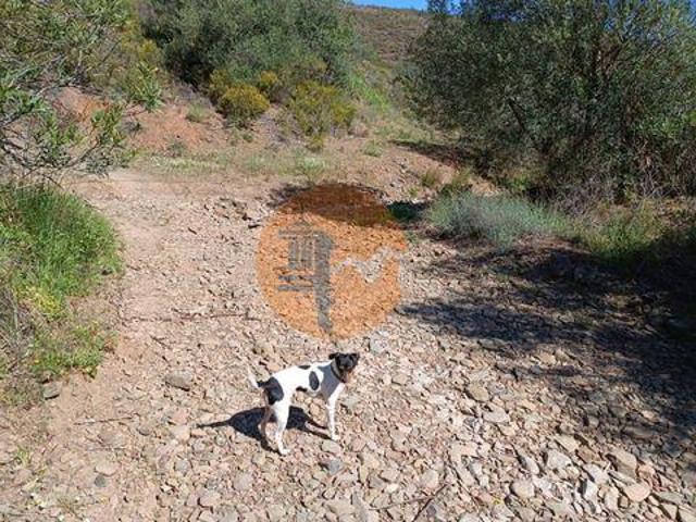 Castro Marim Faro 96316214