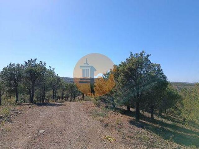 Castro Marim Faro 96316224