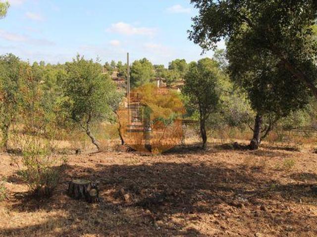 Castro Marim Faro 96316333
