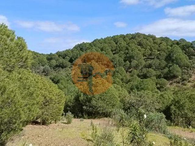 Castro Marim Faro 96326663