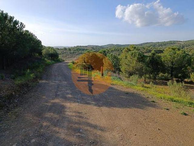 Castro Marim Faro 96332577