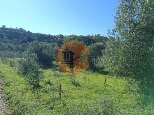 Castro Marim Faro 96681627
