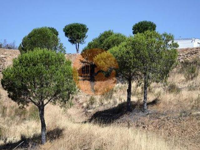 Castro Marim Faro 98434325