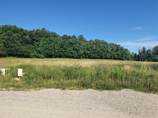 Castres gironde 500m²