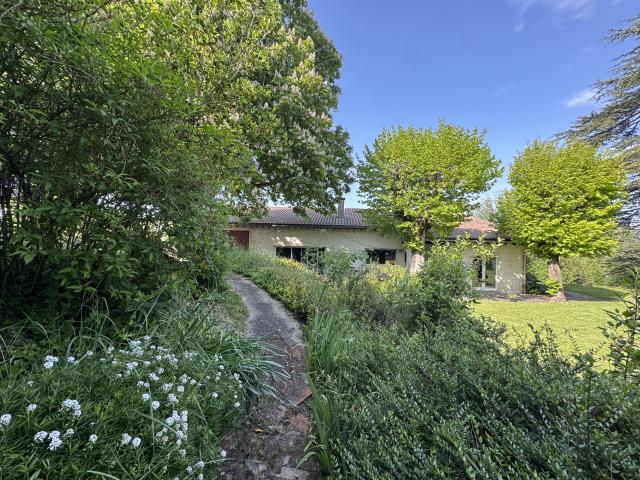 Castres Vente Maison 81