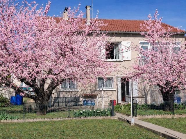 Castres Vente Maison 81