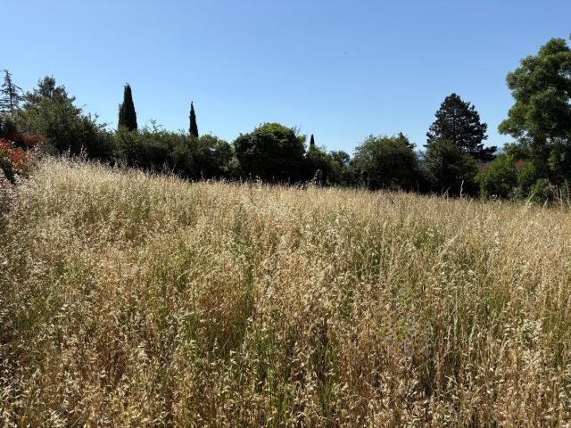Castres Vente Terrain 81