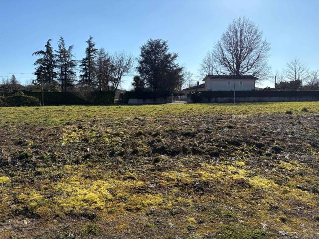 Castres Vente Terrain 81