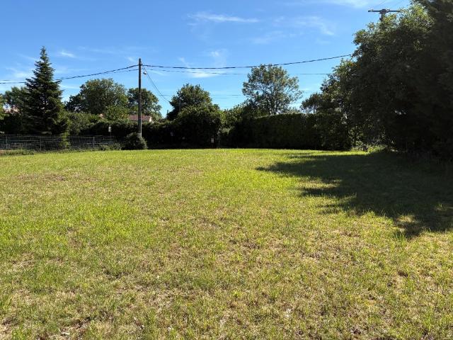 Castres Vente Terrain 81