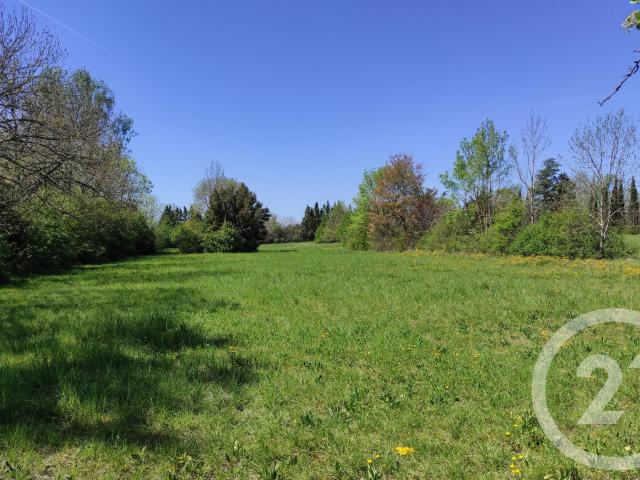 Castres Vente Terrain 81