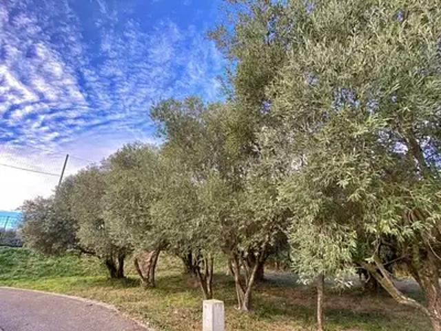 Castries 34160 Achat / Vente terrain