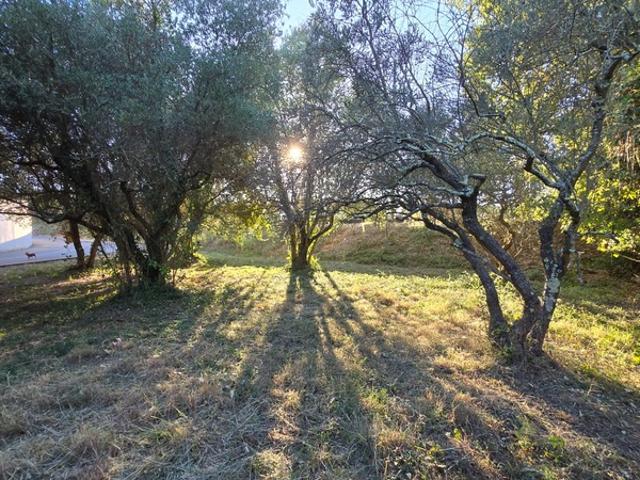 Castries Vente Terrain 34