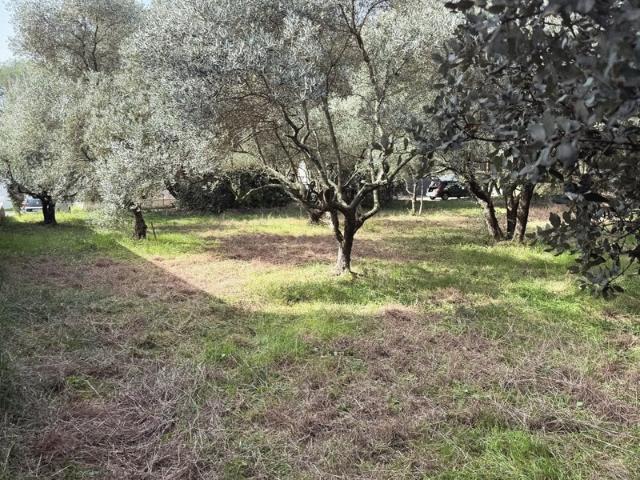 Castries Vente Terrain 34
