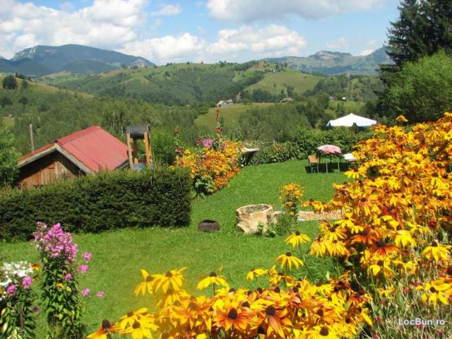 Casuta din povesti, zona rezervata, cu 12. 000 mp teren, Brasov