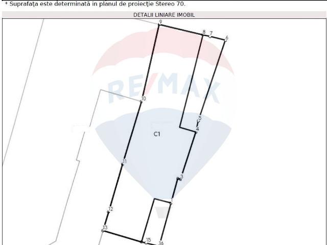 Casă 5 camere / str. Tudor Vladimirescu / 349 mp teren