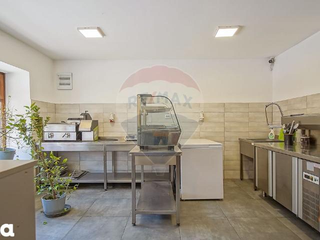 Casă cu 7 Camere + Spațiu Comercial, Oportunitate Rară, Comision 0%