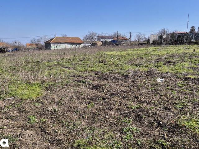 Casă cu curte mare