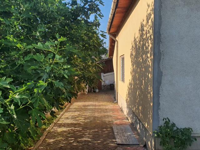 Casă de vanzare S+P+M, 6 camere, teren 1500 mp