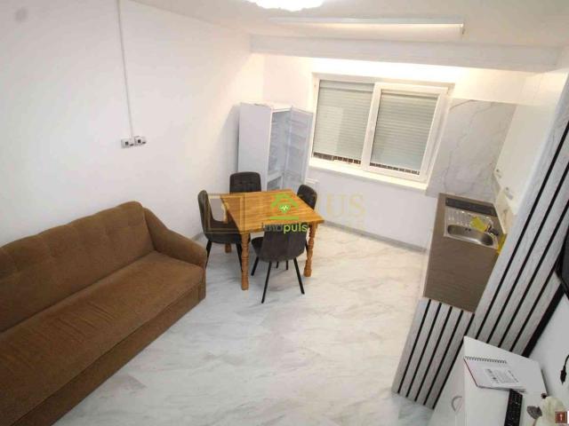 Casă individuală – pet friendly | Telegrafului – Modern, Timișoara