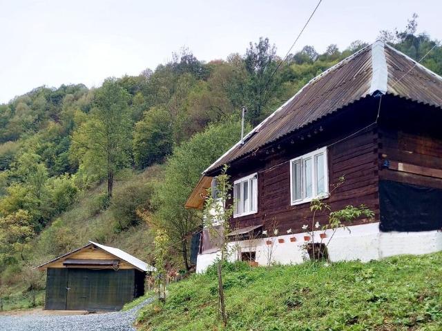 Casa Muntii Apuseni Bistra